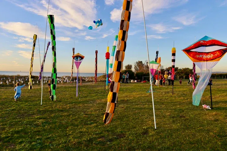 A garden of kites flying against an open sky